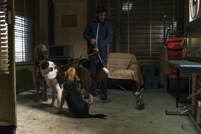 A kutyák saját Oscar-díja: a Palm Dog-díj nyertesei az elmúlt tíz évből