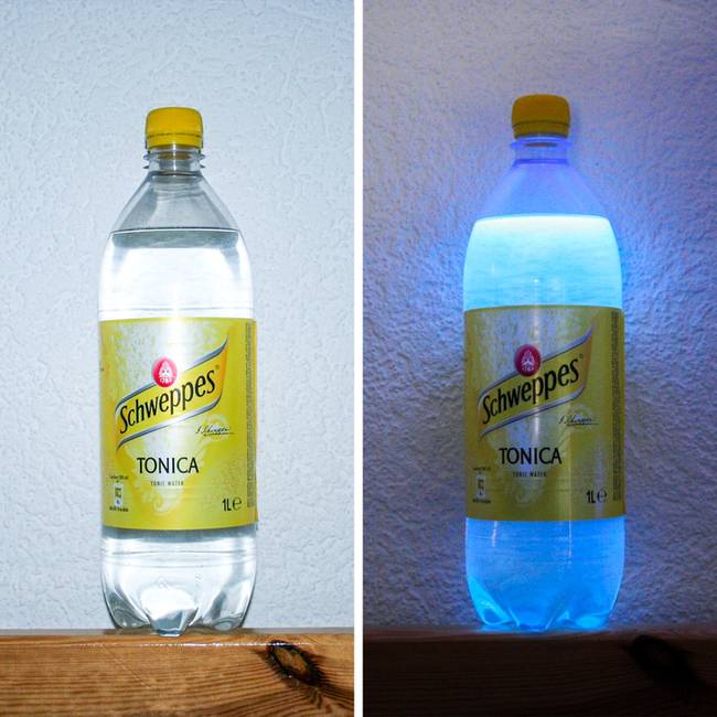A tonicoc UV fény alatt szintén világítanak, mivel kininfából nyert kinint tartalmaznak.