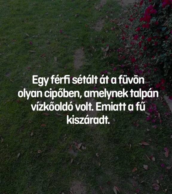 13 fényképrejtvény, amiken nem mindenki találja meg a választ