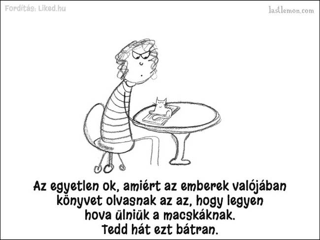20 humoros illusztráció, ami megmutatja, hogyan kell jó macskának lenni