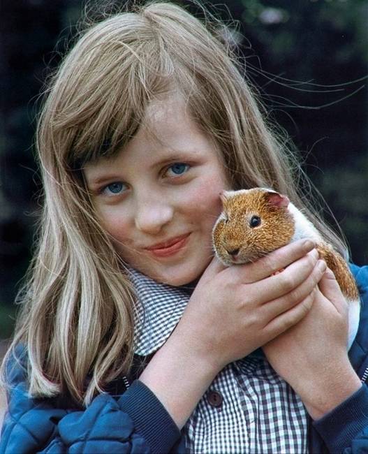 Diana leendő hercegné és a tengerimalaca.