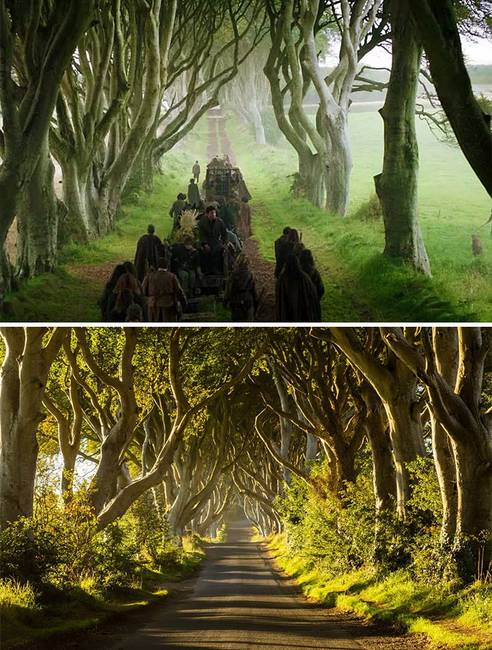 Dark Hedges, Észak-Írország