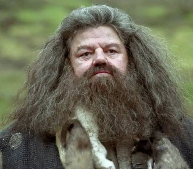 Harry Potter érdekességek 010