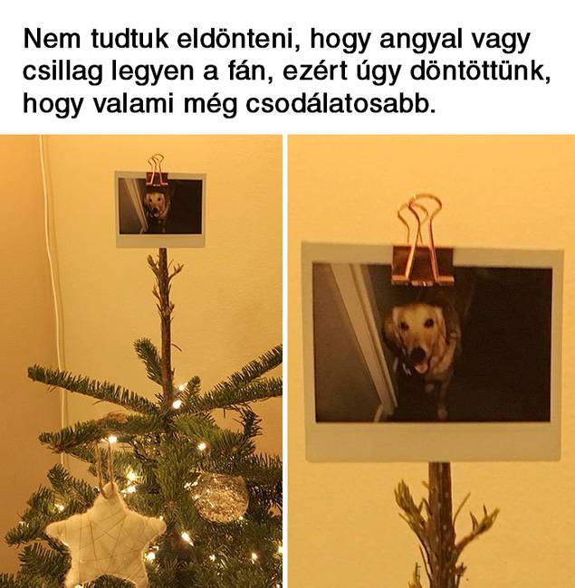 20 vicces karácsonyi mém, ami többet mond minden szónál