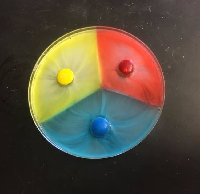 Ez történik, ha a különböző színű M&M's-eket melegvízbe tesszük.