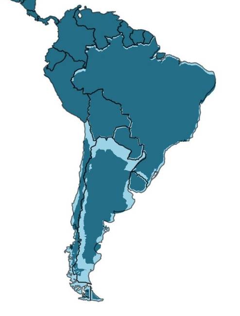 1565963594 09f9a3e7ff99d8d6b21c6c02e98c3d4b