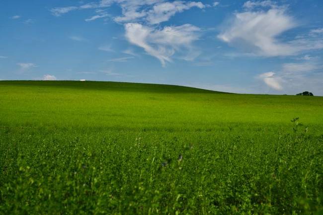 Ha Lengyelországban jársz, ne feledd, hogy a Mazuri-tóhátsághoz utazva te is elkészítheted a saját Windows XP háttérképedet.