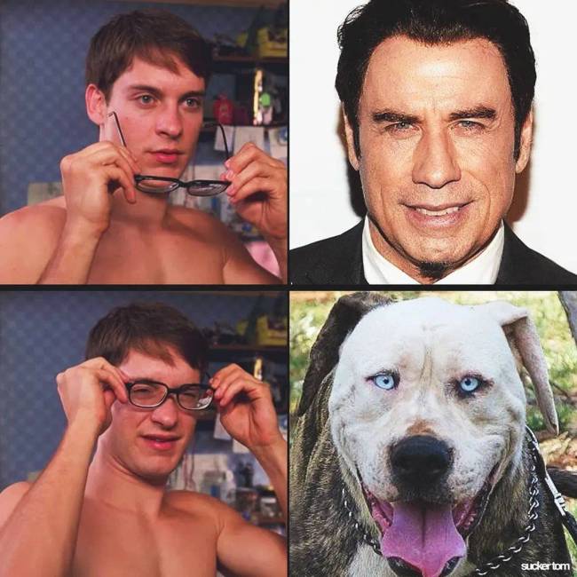 Hírességek hasonmásai 041