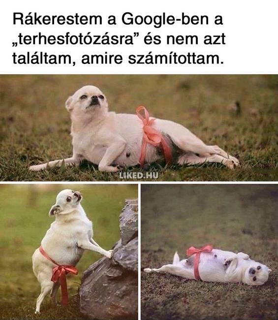 20 vicces terhességgel kapcsolatos mém, ami többet mond minden szónál