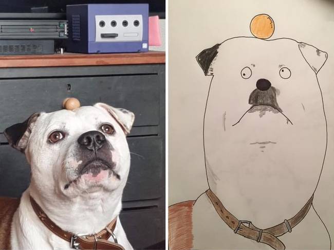 Gus