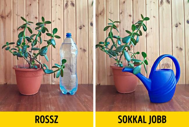 Műanyag palack helyett locsolókanna.