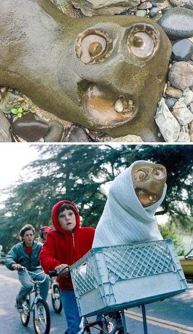 Nagyon úgy fest, hogy E.T. mégsem ment haza.