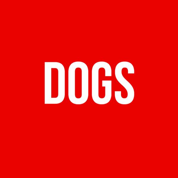 Az van a képre írva, hogy "DOGS".