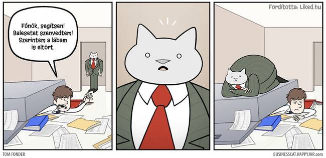20 humoros illusztráció arról, hogy milyen lenne az élet, ha egy macska lenne a főnökünk