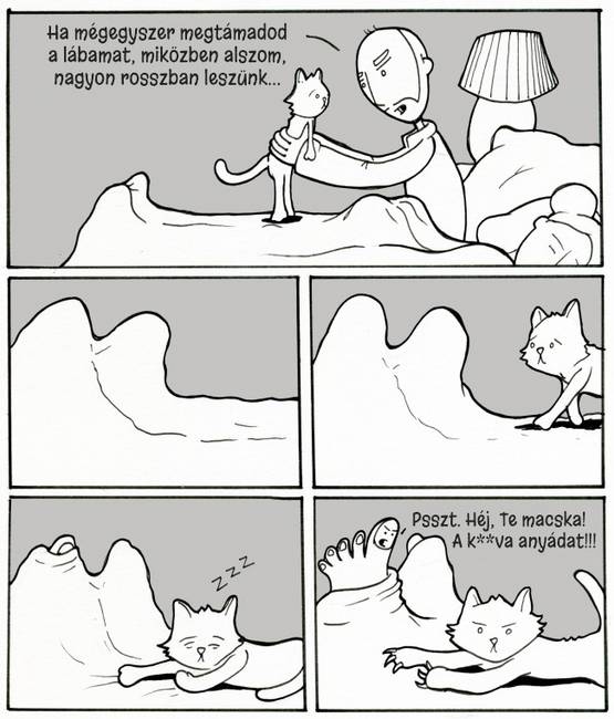 10 humoros képregény, ami megmutatja, hogy milyen együtt élni egy macskával