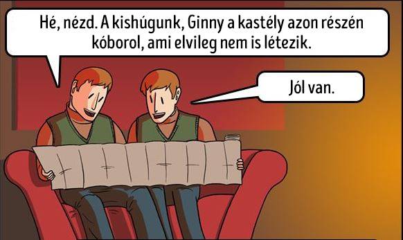7 bizonyíték rá, hogy a Weasley-ikrek a legostobább Harry Potter karakterek