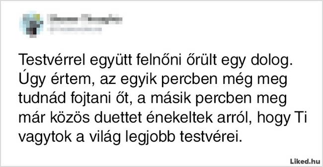17 élethelyzet, ami jól mutatja, hogy milyen kiszámíthatatlan is a testvérek élete