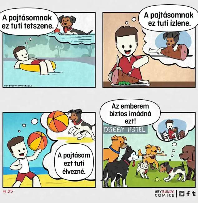 Kutyagondolatok