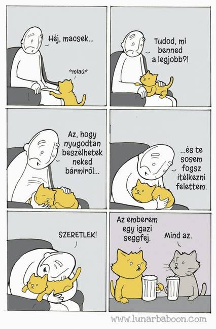 10 humoros képregény, ami megmutatja, hogy milyen együtt élni egy macskával
