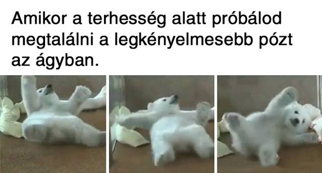 20 vicces terhességgel kapcsolatos mém, ami többet mond minden szónál