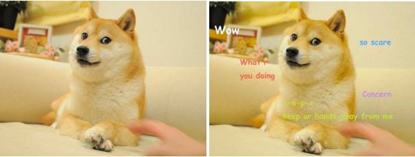 ,Doge"