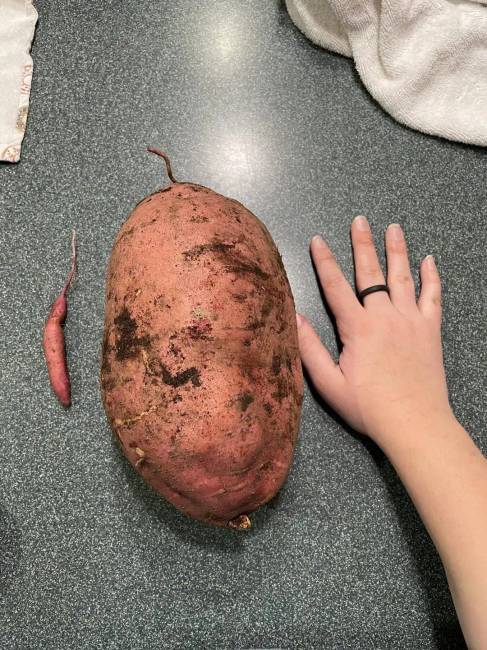 Összehasonlító fotók érdekesség 017