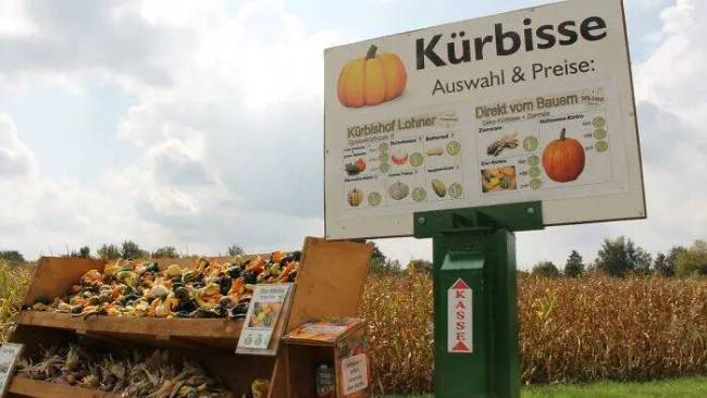 Társadalmi kísérletek 010