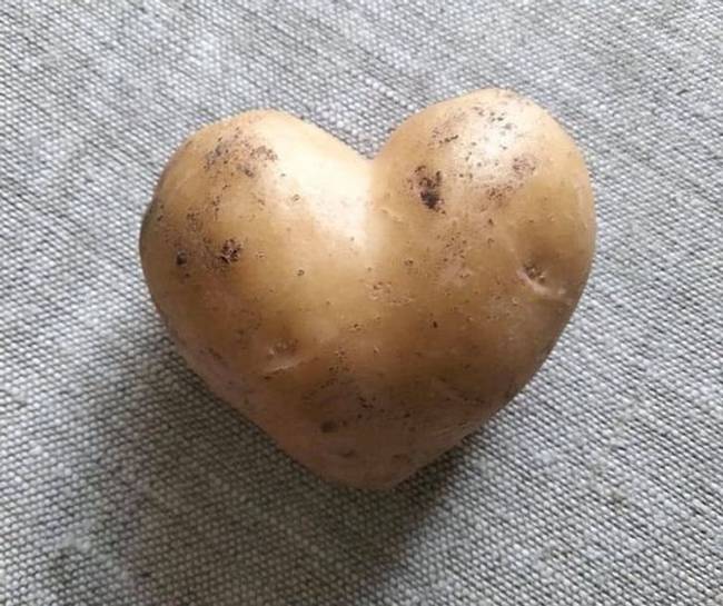 „Egy szív alakú burgonyát találtam a kertemben."