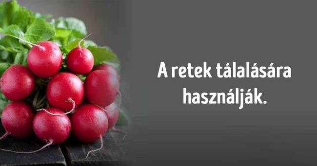 Intelligens kérdések