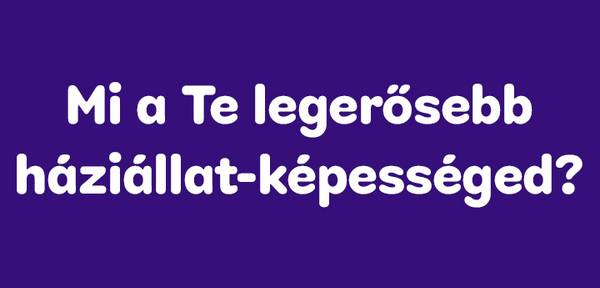 Milyen kutya vagy