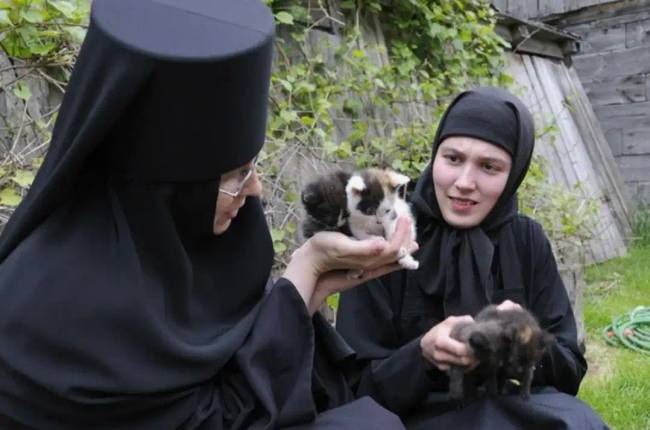 Hogyan boldogulnak az apácák férfiak nélkül, hogyan birkóznak meg a szerelemmel és hogyan szelídítik meg a titkos vágyaikat?
