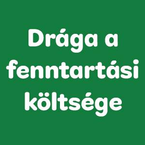 Milyen kutya vagy