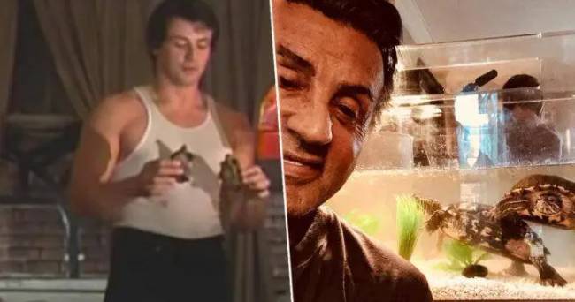 Hazavitt filmes kellékek 5