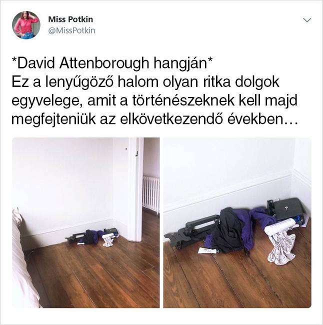 Háromgyerekes édesanya vagyok, és úgy döntöttem, megmutatom a családomnak, hogy mi történik, ha a rendrakó tündér három napra nyaralni megy