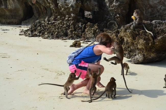 Amikor gyanútlanul leülsz megpihenni kicsit egy thaiföldi strandon.