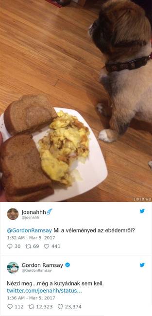 16 személy, aki jó ötletnek tartotta beküldeni a főztjét Gordon Ramsay Twitter oldalára