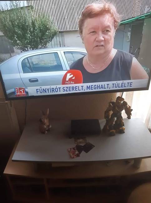 A végére pedig egy kis tanulság: sosem szabad feladni! 😂