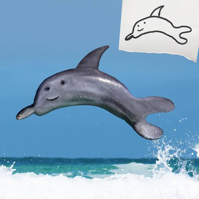 Egy kis delfin nagy ugrása.