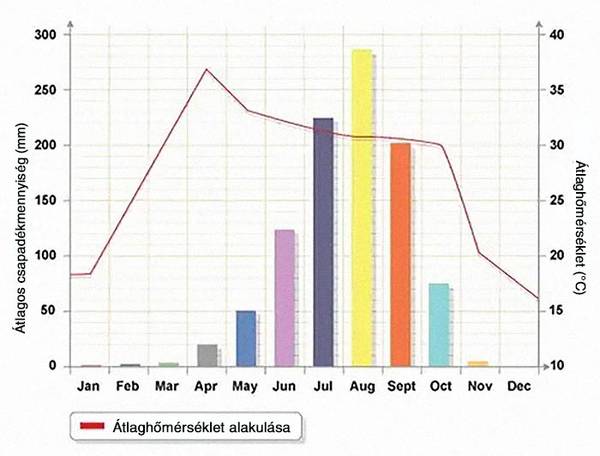 Tanulmányozd az alább látható grafikont. Milyen információt közöl a grafikon?