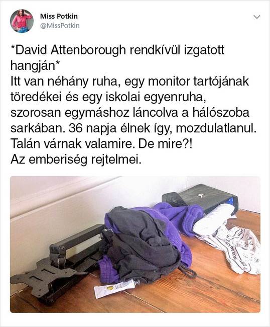 Háromgyerekes édesanya vagyok, és úgy döntöttem, megmutatom a családomnak, hogy mi történik, ha a rendrakó tündér három napra nyaralni megy