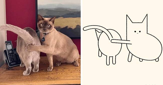 Ne lesd!
