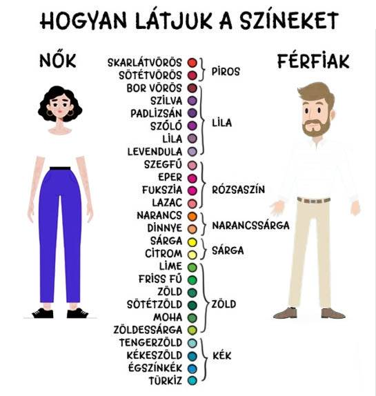 8 érdekes tény, amit sosem gondoltunk volna a férfi testről