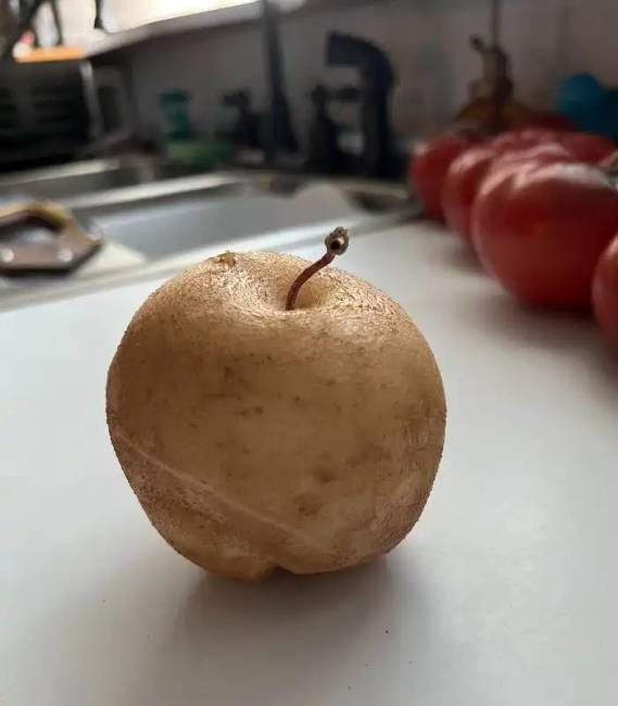Ijesztő, de érdekes fotók 023