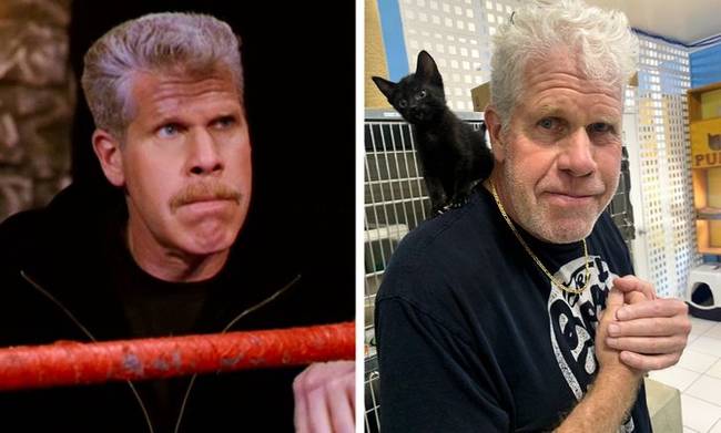 Kellman - Ron Perlman