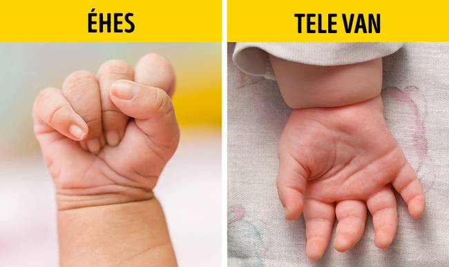 Babák jelzései