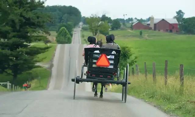 amish tények 016