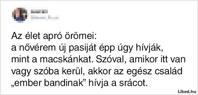 17 élethelyzet, ami jól mutatja, hogy milyen kiszámíthatatlan is a testvérek élete