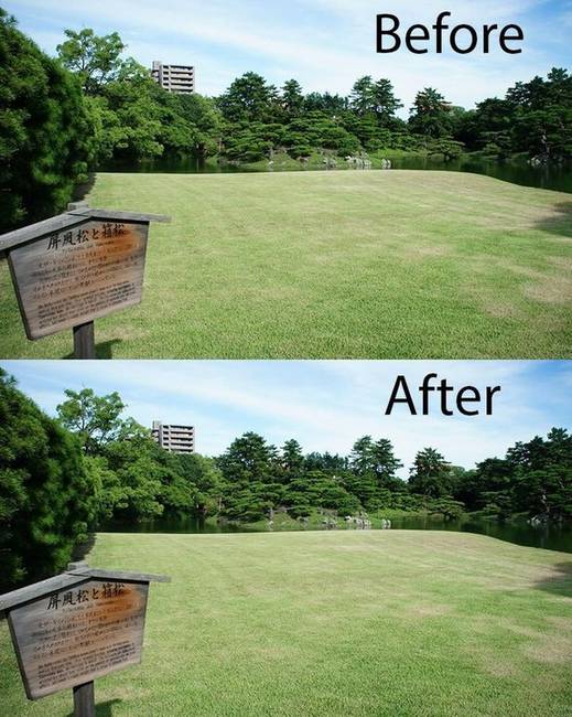 A japán parkok olyan tiszták, hogy nem látni különbséget a szemétszedés előtt és után készült képeken.