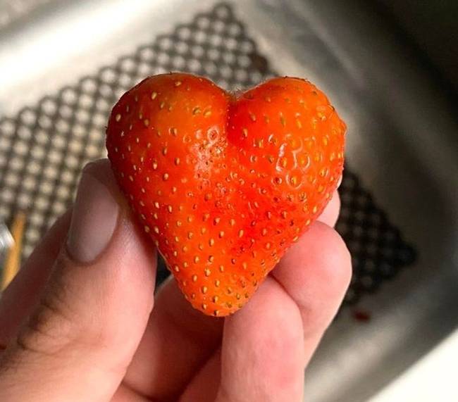 „Szeretném, ha mindenki olyan kedves lenne velem, mint ez a gyümölcs."