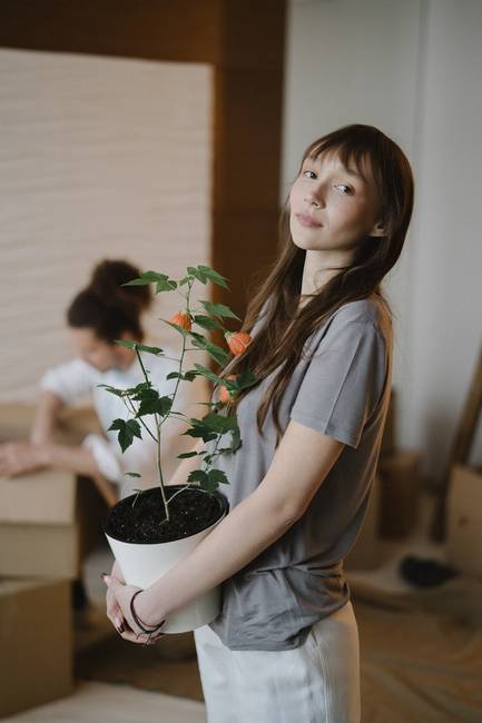 pexels anastasia shuraeva 7647223